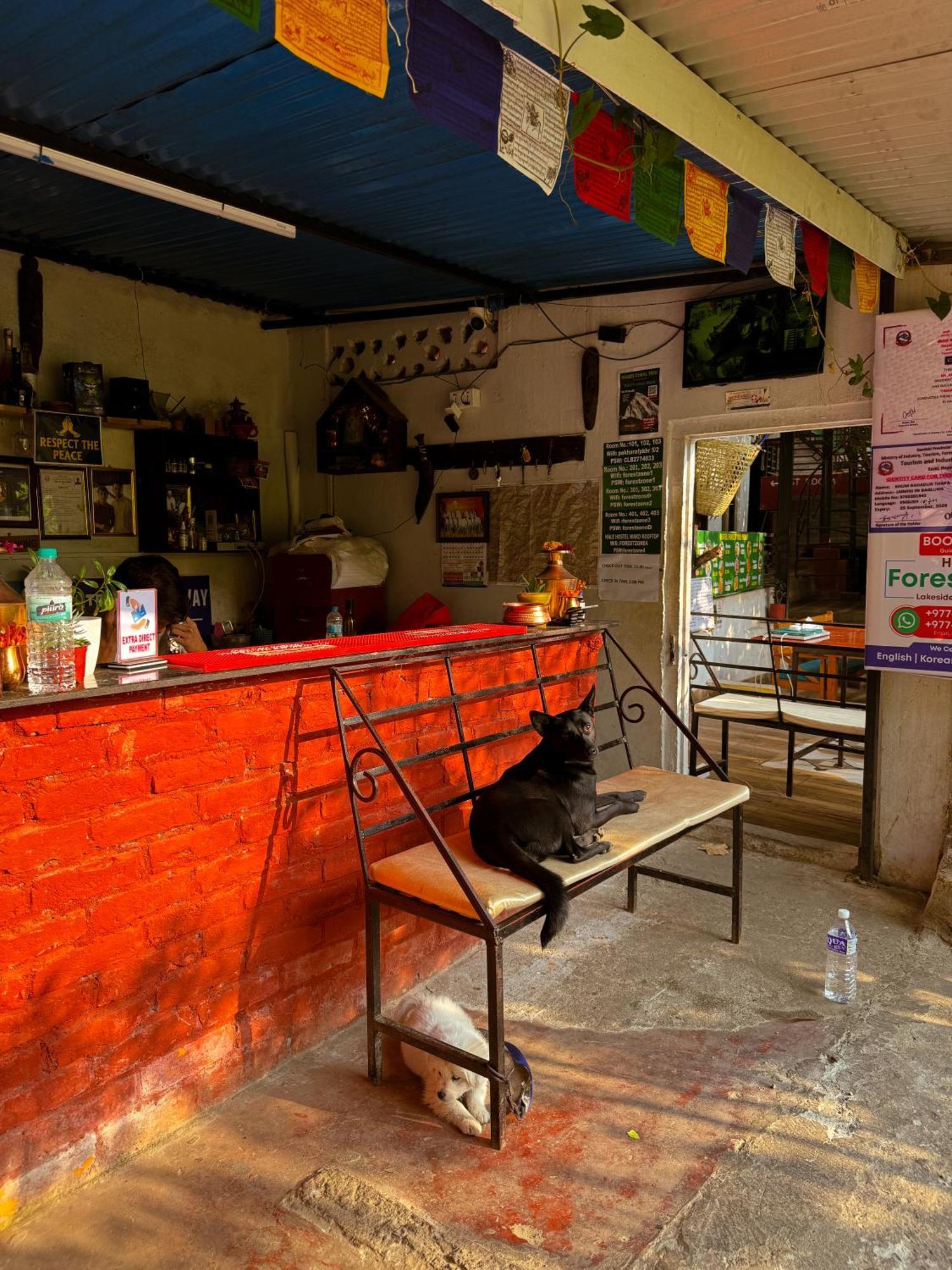 Hotel Forestway Hostel & Backpackers Ποκάρα Εξωτερικό φωτογραφία